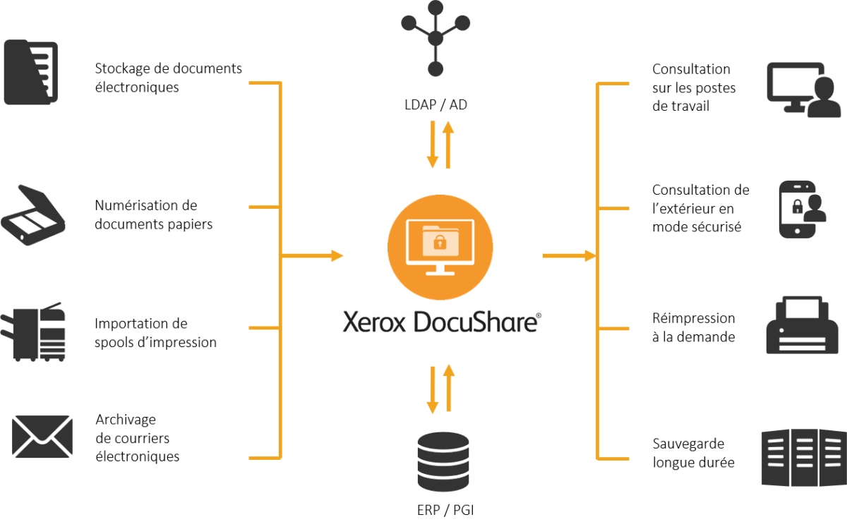 Schema DocuShare