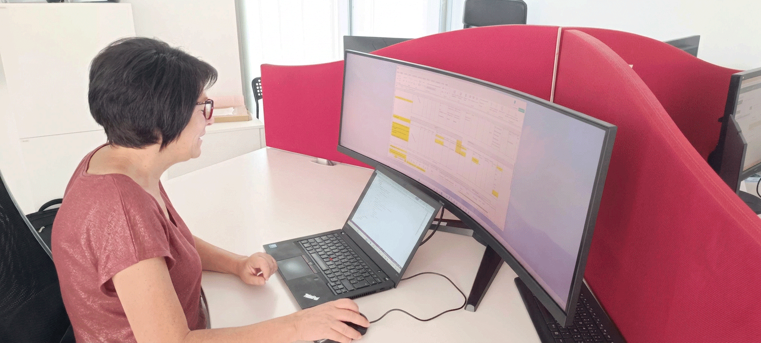 Développeur e-Cervo concevant une solution métier sur mesure, activité d'éditeur de logiciels